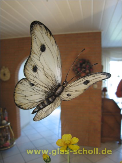(c) 2005 www.Glas-Scholl.de